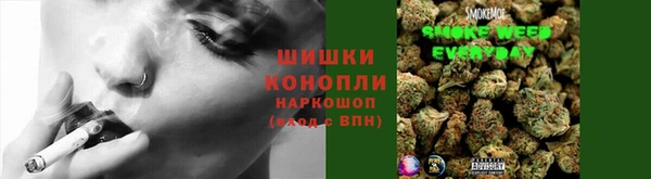 ECSTASY Армянск