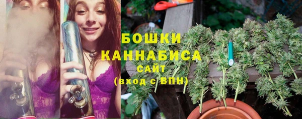 ECSTASY Армянск