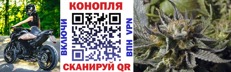Шишки марихуана VHQ  сколько стоит  Судак 